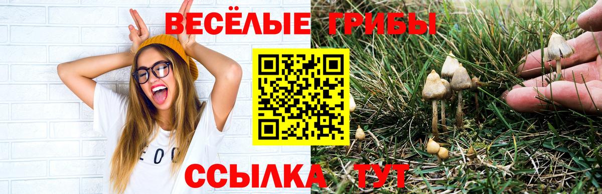 Реутов  закладки  Вход с VPN  Галлюциногенные грибы Magic Shrooms 